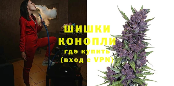 молекула духа Бородино