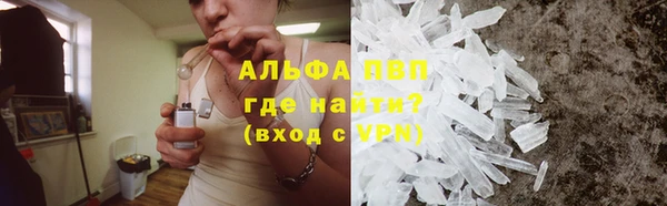 молекула духа Бородино