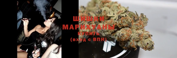 молекула духа Бородино