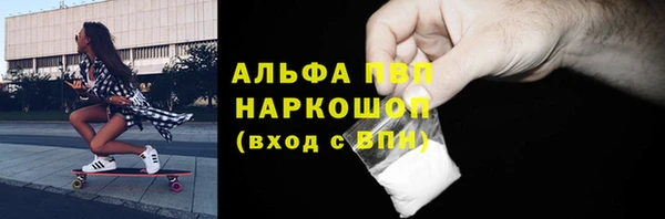 молекула духа Бородино