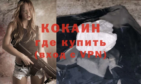 молекула духа Бородино