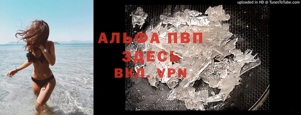 молекула духа Бородино