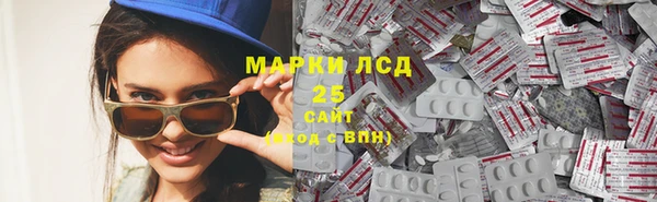 молекула духа Бородино
